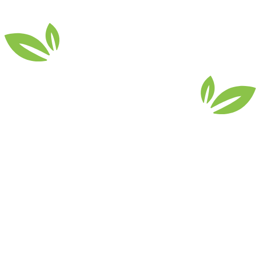 CozyNest Hub